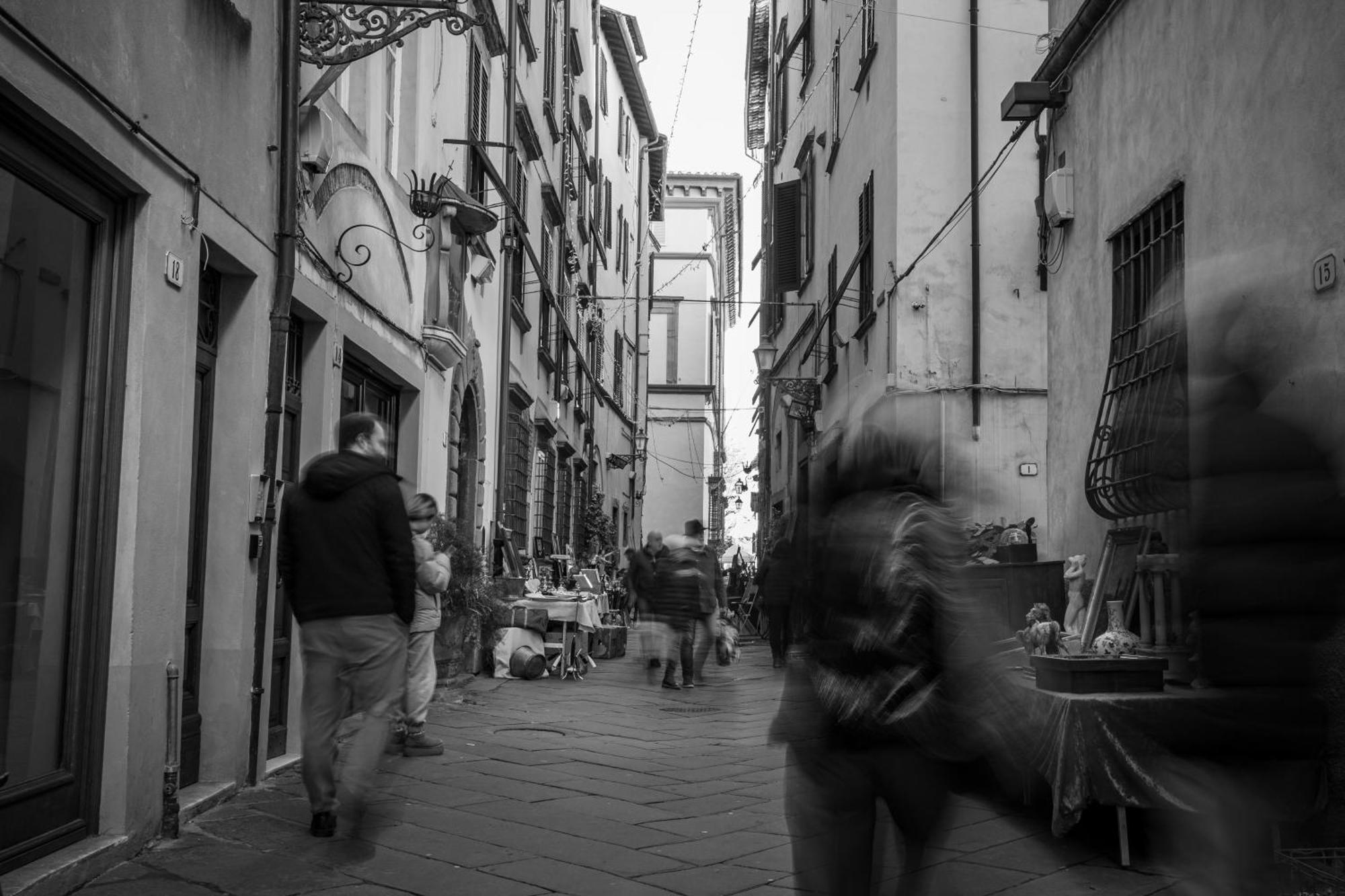 Oasi Nel Cuore Di Lucca, Super Centrale E Luminoso Exterior photo